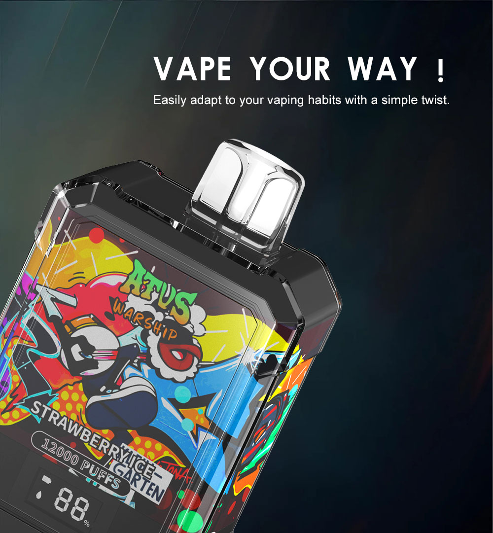 DE013A 12000 Puffs California CA USA Disposable Vapes with LED display screen and adjustable airflow ATVS Vape