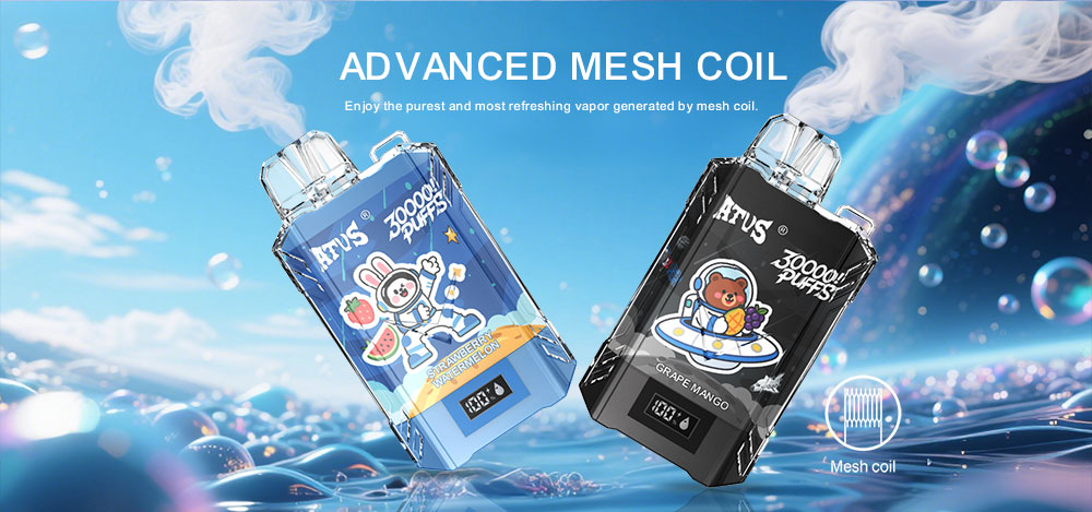 DE017 California CA USA 30000 Puffs Disposabl Vape with LED display screen and adjustable airflow rechargeable